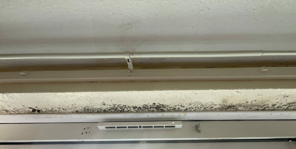 Damp and condensation